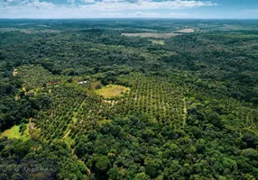 Foto 1 de Fazenda/Sítio com 5 Quartos à venda, 694888m² em Porto Sauípe, Entre Rios