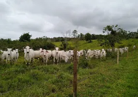 Foto 1 de Fazenda/Sítio à venda, 61m² em Centro, Registro