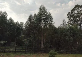 Foto 1 de Lote/Terreno à venda, 5000m² em Alto da Bronze, Estrela