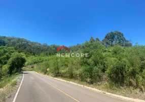 Foto 1 de Fazenda/Sítio com 1 Quarto à venda, 70000m² em Vale das Colinas, Gramado