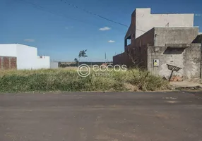 Foto 1 de Lote/Terreno à venda, 250m² em Milenium, Araguari