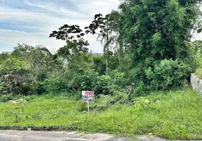 Foto 1 de Lote/Terreno à venda, 360m² em Morro da Bina, Biguaçu