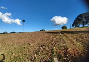 Foto 1 de Fazenda/Sítio à venda, 48000m² em Zona Rural, São Miguel do Passa Quatro