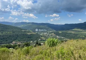 Foto 1 de Lote/Terreno à venda, 60000m² em , Cotiporã