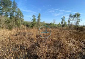 Foto 1 de Lote/Terreno à venda, 5000m² em CHACARAS CAMARGO II, São Pedro