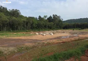 Foto 1 de Lote/Terreno à venda, 38000m² em Linha 40, Caxias do Sul