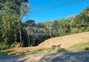 Foto 1 de Lote/Terreno à venda, 3000m² em Pantanal, Florianópolis