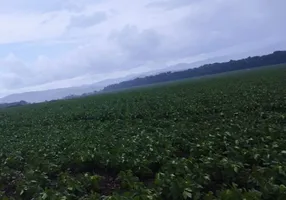 Foto 1 de Fazenda/Sítio à venda em Parque Real de Goiânia, Aparecida de Goiânia