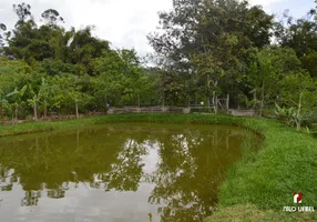 Foto 1 de Fazenda/Sítio com 2 Quartos à venda, 70m² em Rincão do Cascalho, Portão
