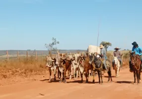 Foto 1 de Lote/Terreno à venda, 2500m² em Samambaia Norte, Brasília