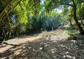 Foto 1 de Lote/Terreno à venda, 40000m² em Santo Antonio, Duque de Caxias