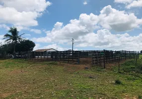 Foto 1 de Fazenda/Sítio com 3 Quartos à venda, 20000m² em Zona Rural, Monte Alegre