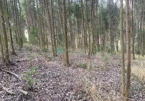 Foto 1 de Fazenda/Sítio à venda, 1m² em Jardim Escócia, Aracoiaba da Serra