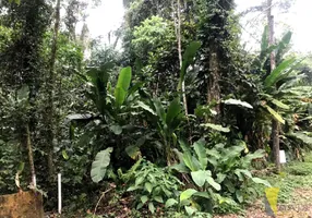 Foto 1 de Lote/Terreno à venda, 510m² em Itamambuca, Ubatuba