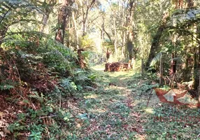 Foto 1 de Fazenda/Sítio com 1 Quarto à venda, 5000m² em Contenda, São José dos Pinhais