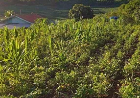 Foto 1 de Fazenda/Sítio com 2 Quartos à venda, 3000m² em Zona Rural, Marialva