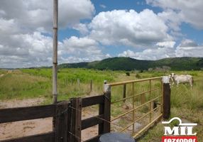 Foto 1 de Fazenda/Sítio à venda em Zona Rural, São Félix do Xingu