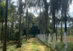 Foto 1 de Fazenda/Sítio à venda, 5000m² em , Abadia de Goiás