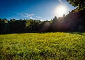 Foto 1 de Lote/Terreno à venda, 220m² em Loteamento Quinta do Oeste, Franca