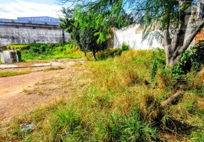 Foto 1 de Lote/Terreno para alugar, 1250m² em Cidade Satélite Íris, Campinas