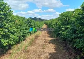 Foto 1 de Fazenda/Sítio com 3 Quartos à venda, 545m² em Zona Rural, Oliveira