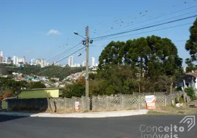 Foto 1 de Lote/Terreno à venda, 462m² em Ronda, Ponta Grossa