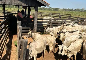 Foto 1 de Fazenda/Sítio com 1 Quarto à venda, 153000m² em , União do Sul