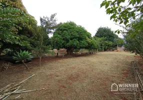 Foto 1 de Fazenda/Sítio com 1 Quarto à venda, 2200m² em Parque Industrial IV, Arapongas