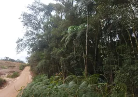 Foto 1 de Fazenda/Sítio com 1 Quarto à venda, 20000m² em Sao Silvestre, Campo Largo