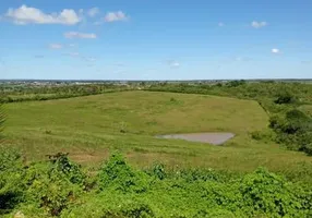 Foto 1 de Fazenda/Sítio com 3 Quartos à venda, 6600m² em Sitio Arena, São José de Mipibu