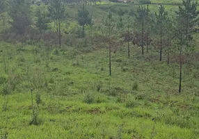 Foto 1 de Lote/Terreno à venda, 66000m² em Campo das Antas, Poços de Caldas