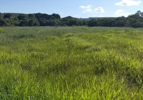 Foto 1 de Fazenda/Sítio com 1 Quarto à venda, 43000m² em Area Rural de Brazlandia, Brasília