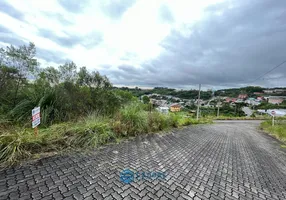 Foto 1 de Lote/Terreno à venda, 382m² em São Ciro, Caxias do Sul