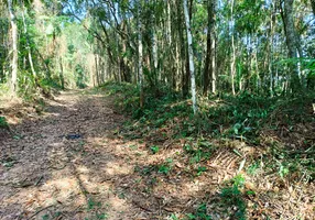 Foto 1 de Lote/Terreno à venda, 2712m² em Centro, Juquitiba