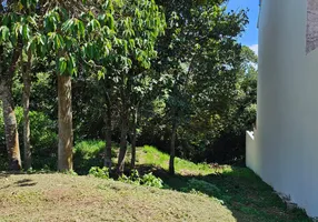 Foto 1 de Lote/Terreno à venda, 300m² em Parque Residencial Itapeti, Mogi das Cruzes