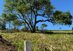 Foto 1 de Lote/Terreno à venda, 600m² em Jardim Wanda, São Paulo