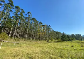 Foto 1 de Lote/Terreno à venda, 83000m² em Alto Benedito Novo, Benedito Novo