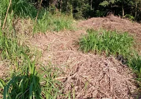 Foto 1 de Lote/Terreno à venda, 1100m² em Champirra, Jundiaí