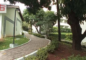 Foto 1 de Apartamento com 2 Quartos para alugar, 54m² em Vila Palmeiras, São Paulo