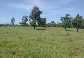 Foto 1 de Fazenda/Sítio à venda em Centro, Faina