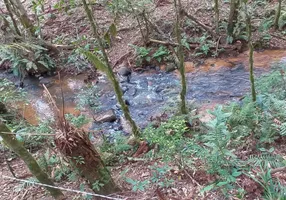 Foto 1 de Fazenda/Sítio à venda, 5000m² em Campo Largo da Roseira, São José dos Pinhais