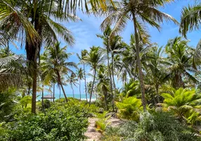 Foto 1 de Lote/Terreno com 1 Quarto à venda, 2000m² em Barra Grande, Maraú