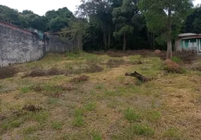 Foto 1 de Lote/Terreno à venda, 1270m² em Vale das Flores Canguera, São Roque