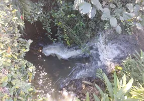 Foto 1 de Fazenda/Sítio com 3 Quartos à venda, 24000m² em Palestina, Juquitiba