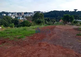 Foto 1 de Lote/Terreno à venda, 382m² em Colina Sorriso, Caxias do Sul