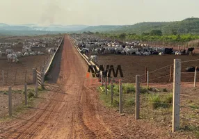 Foto 1 de Fazenda/Sítio à venda, 30000000m² em Zona Rural, Pindorama do Tocantins