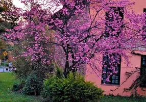 Foto 1 de Casa de Condomínio com 4 Quartos à venda, 422m² em Morada dos Pinheiros Aldeia da Serra , Santana de Parnaíba