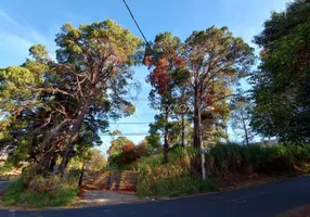 Foto 1 de Lote/Terreno à venda, 3990m² em Parque Rural Fazenda Santa Cândida, Campinas