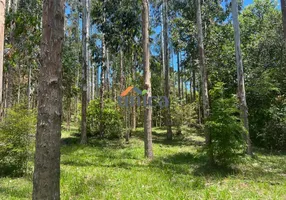 Foto 1 de Fazenda/Sítio com 2 Quartos à venda, 28000m² em Centro, Campo Alegre