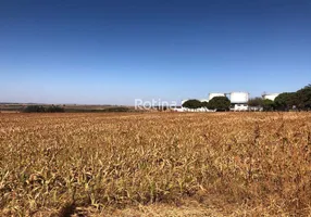 Foto 1 de para alugar, 20000m² em Morada Nova, Uberlândia